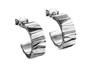 Eelis Aleksi / Lumoava - Aarni (errings)